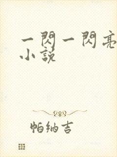 一闪一闪亮星星小说