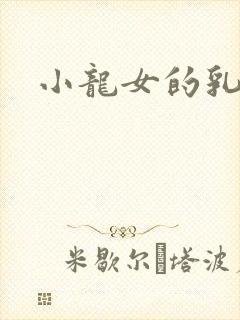 小龙女的乳头封面