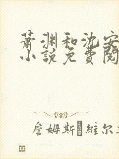 萧渊和沈安安的小说免费阅读