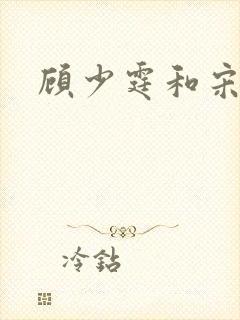 顾少霆和宋斯曼封面