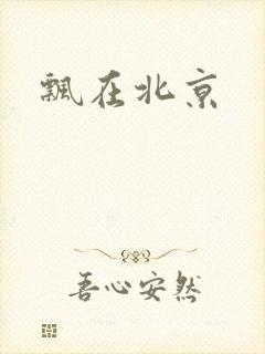 飘在北京封面
