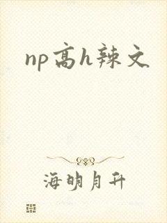 np高h辣文