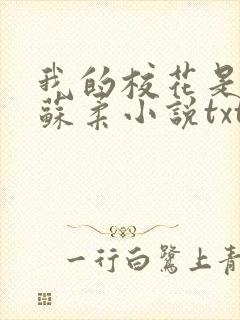 我的校花是福姬苏柔小说txt