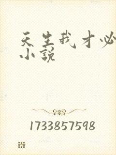 天生我才必有用小说