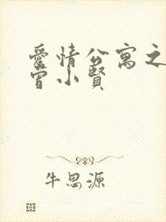 爱情公寓之极品曾小贤