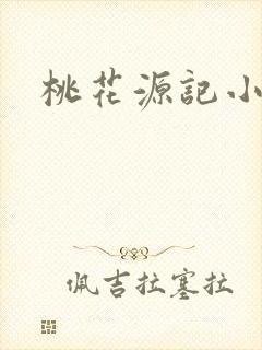 桃花源记小说封面