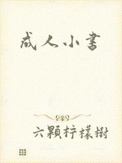 成人小书
