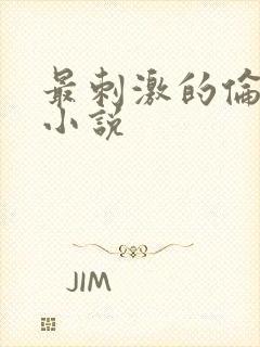 最刺激的伦子伦小说封面