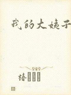 我的大姨子封面