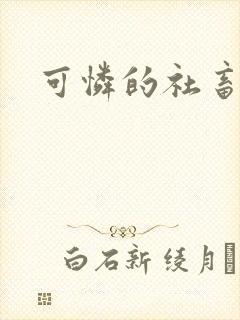 可怜的社畜分手