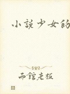 小说少女的心