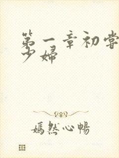 第一章初尝极品少妇