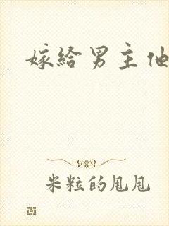 嫁给男主他爸爸封面