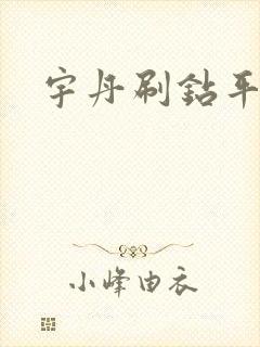 宇丹刷钻平台封面