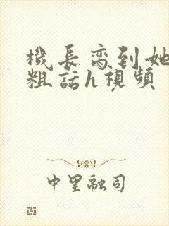 机长脔到她哭h粗话h视频