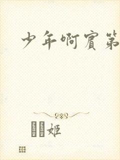 少年啊宾第二部