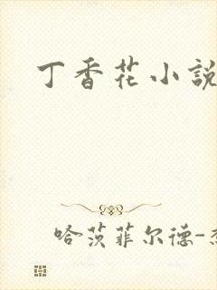 丁香花小说