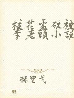 校花处破被灌满李老头小说