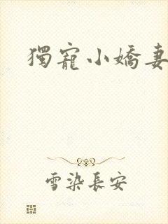 独宠小娇妻封面