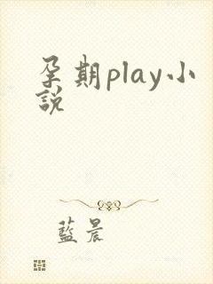 孕期play小说