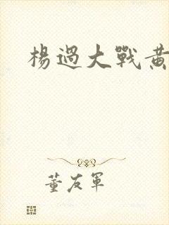 杨过大战黄蓉封面