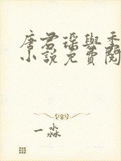 唐君瑶与季翰诚小说免费阅读全文最新章节