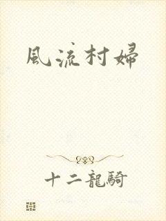 风流村妇封面