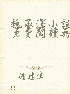 魏承泽小说全文免费阅读无弹窗笔趣