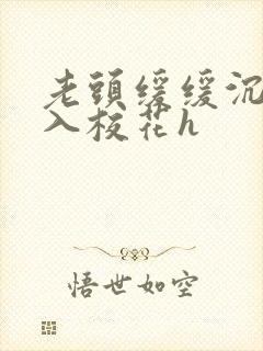 老头缓缓沉腰进入校花h