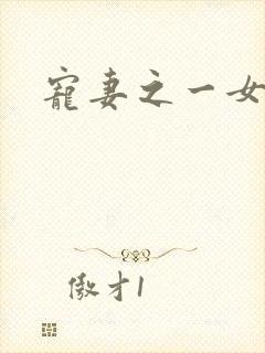 宠妻之一女二夫