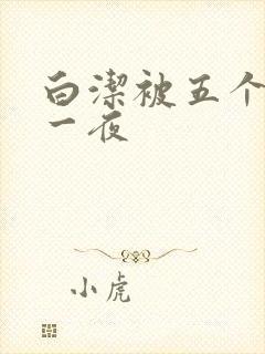 白洁被五个人玩一夜