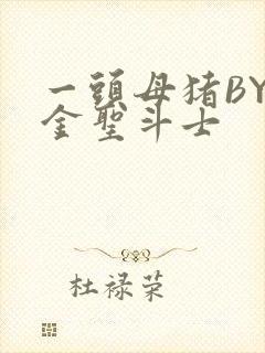 一头母猪BY黄金圣斗士