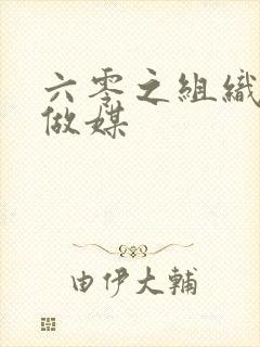 六零之组织给我做媒