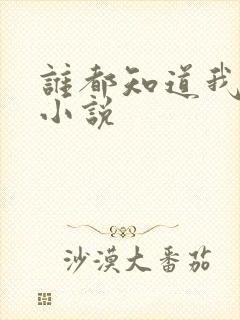 谁都知道我爱你小说