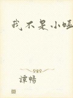 我不是小哑巴封面