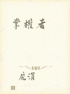 掌权者封面