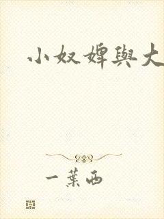 小奴婢与大少爷