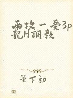 两攻一受3p双龙H调教