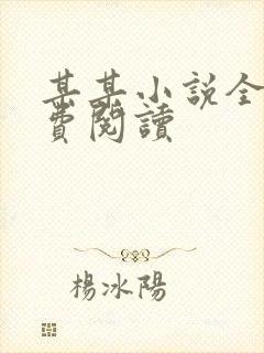 某某小说全文免费阅读