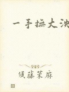 一手抚大泱暖封面