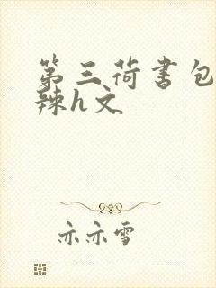 第三荷书包网高辣h文