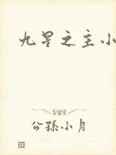 九星之主小说封面