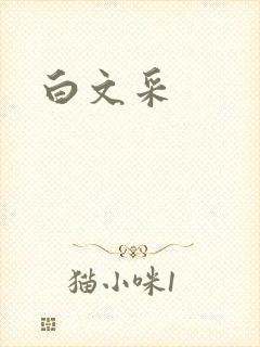 白文采