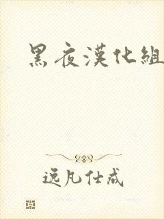 黑夜汉化组