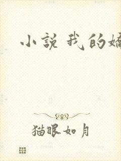 小说 我的娇妻封面