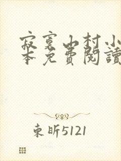 寂寞山村小说全本免费阅读