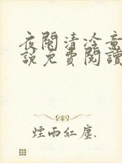 夜阑清冷意欢小说免费阅读