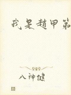 我是赵甲第小说