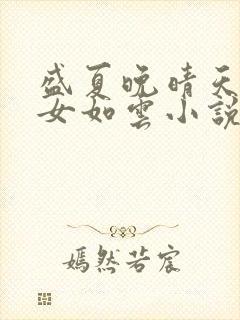 盛夏晚晴天之美女如云小说