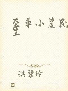 至尊小农民王木生封面